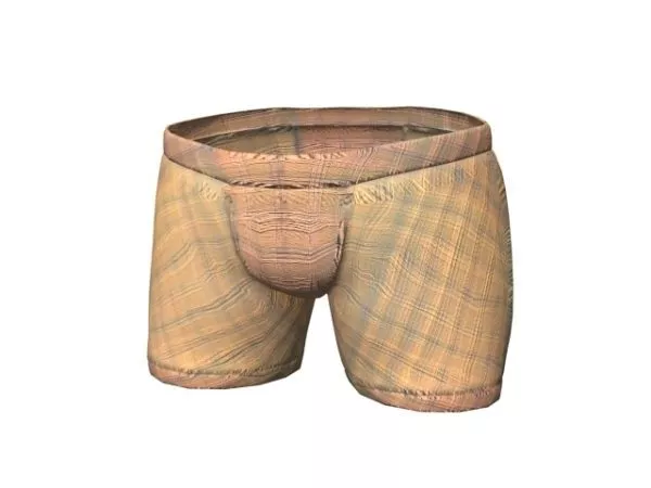 Low Rise Boxer Briefs Clothing 3d model Low Rise Boxer Briefs Clothing 3d model