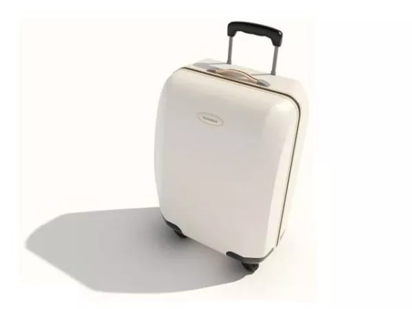 Flasket Bag 3d model