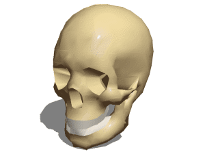 Funny Cartoon Skeleton 3d model