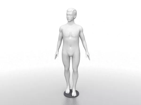 Mannequin Head 3d model