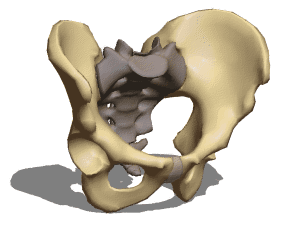 Eye 3d model