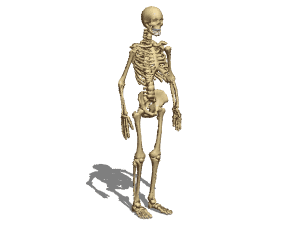 Man Uniform Lowpoly 3d model