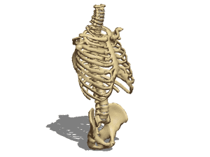 Hookem Horns 3d model