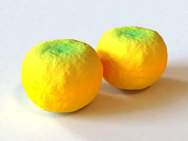 Fresh Watermelon 3d model