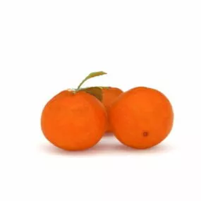 Tropical Orange Fruit 3d model