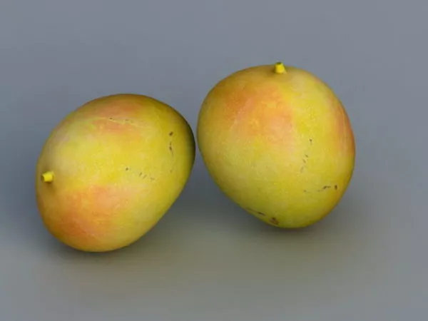 Food Mango Fruit 3d model Food Mango Fruit 3d model