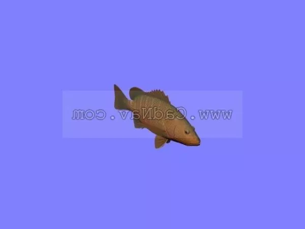Sea Animal Mangrove Red Snapper 3d model Sea Animal Mangrove Red Snapper 3d model