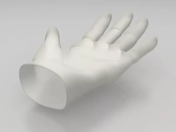 Pointer Hand Sculpt 3d model