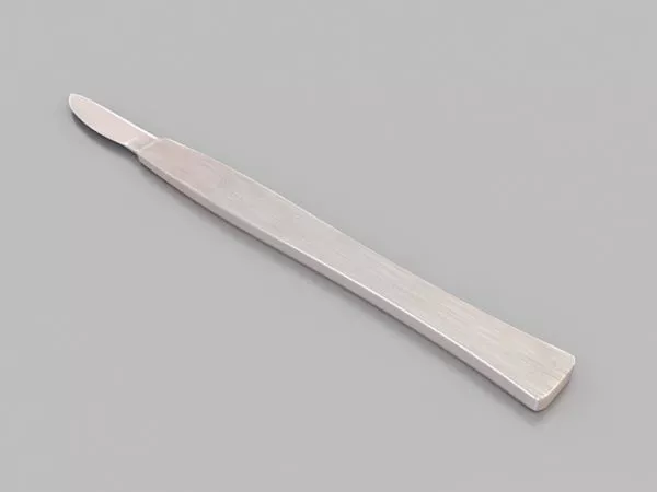 Banjo Instrument 3d model