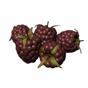 Fresh Purple Fruit 3d model