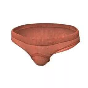 Men Bikini Clothing 3d model
