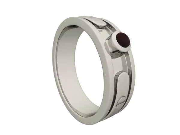 Charmed Circle Shape 3d model