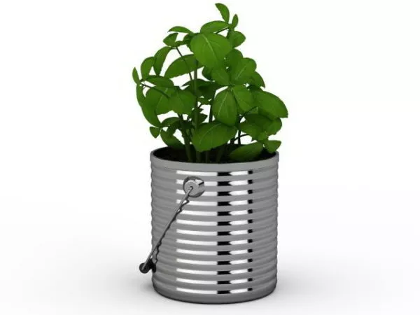 Indoor Metal Bucket Planter 3d model Indoor Metal Bucket Planter 3d model