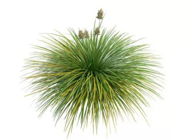 Grass Chunks 3d model