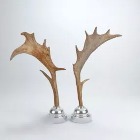 Moose Antlers Decoration 3d model