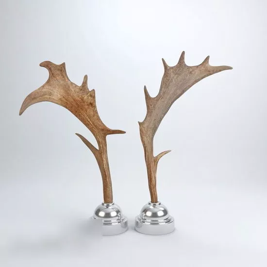 Moose Antlers Decoration 3d model Moose Antlers Decoration 3d model