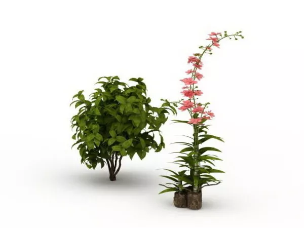 Climbing Plant For Garden 3d model Climbing Plant For Garden 3d model