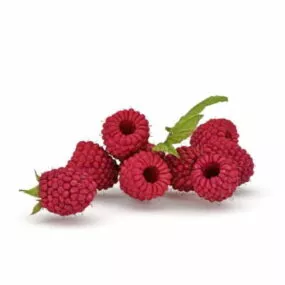 Nature Mulberry Fruit 3d model