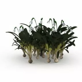 Narcissus Flower Garden Ornaments 3d model