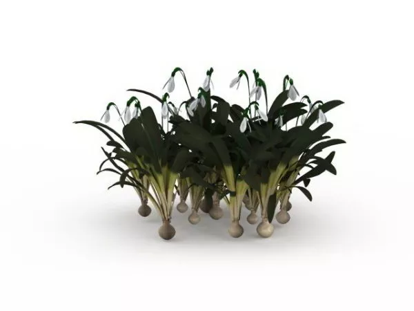 Narcissus Flower Garden Ornaments 3d model Narcissus Flower Garden Ornaments 3d model