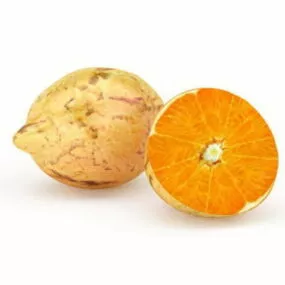 Navel Orange Fruit 3d model
