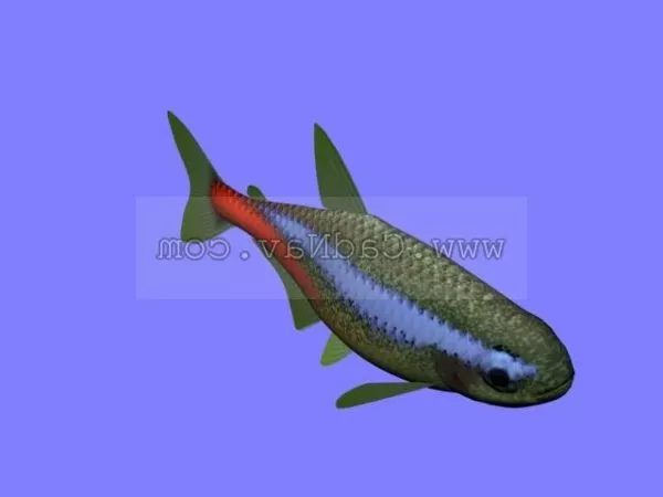 River Nase Fish 3d model