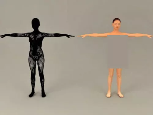 Full Body Muscular System 3d model