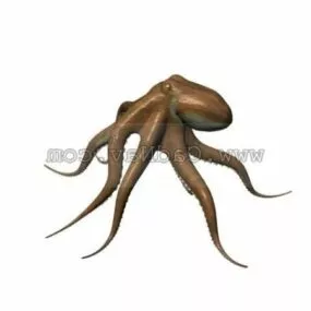 Wild Octopus Animal 3d model