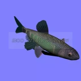 Animal Okinawa Sea Bream 3d model