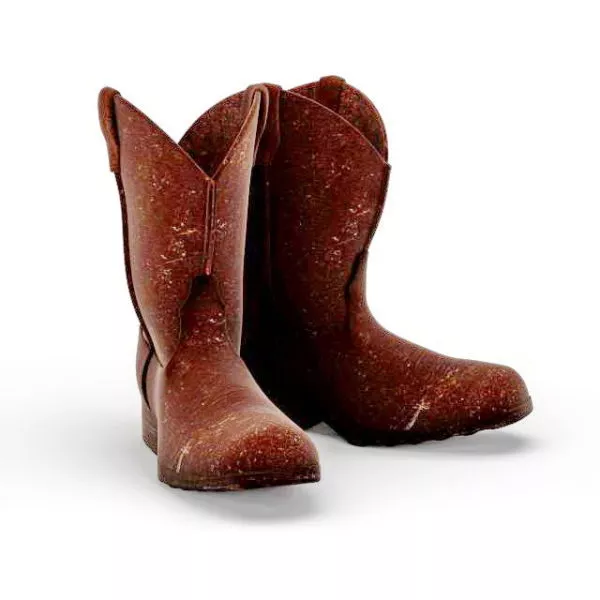 Black Boots 3d model