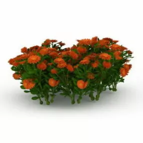 Orange Yellow Flower Garden Plant 3d model