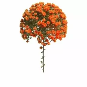Orange Rose Ball 3d model