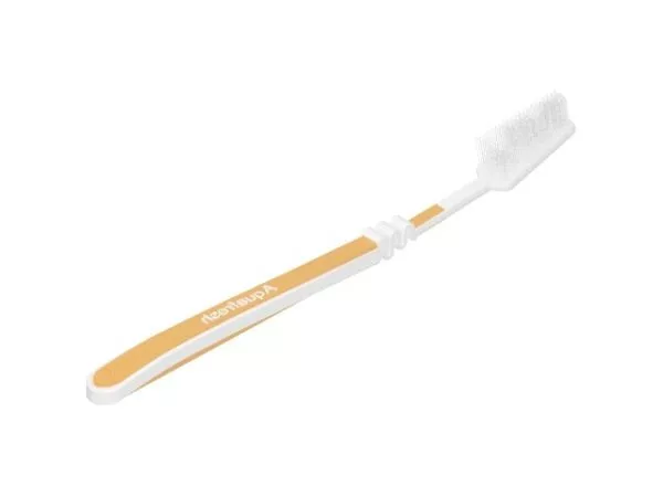Orange Personal Toothbrush 3d model Orange Personal Toothbrush 3d model
