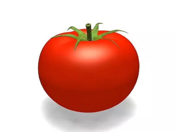 Green Cucumber V1 3d model