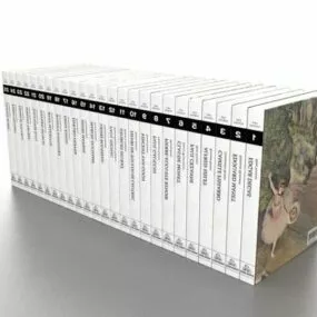 Office Organized Books 3d model
