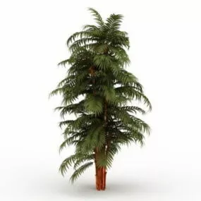 Ornamental Garden Palm Bamboo 3d model