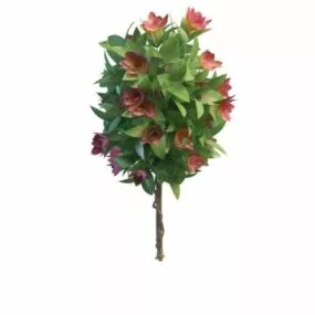 Garden Ornamental Of Plant 3d model