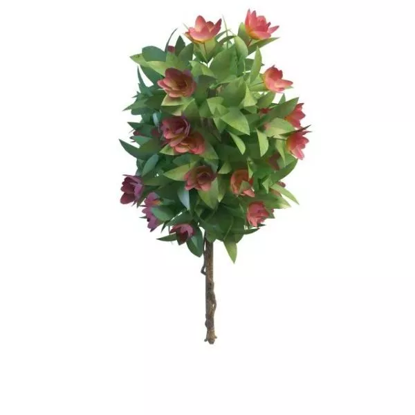 Garden Ornamental Of Plant 3d model Garden Ornamental Of Plant 3d model