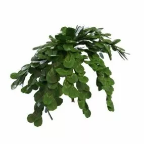 Garden Ornamental Tree 3d model
