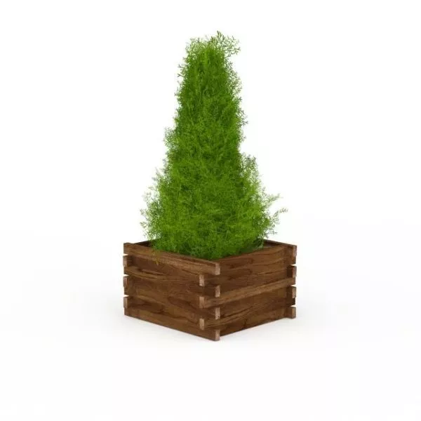 Planter Outdoor Garden Decoration 3d model Planter Outdoor Garden Decoration 3d model