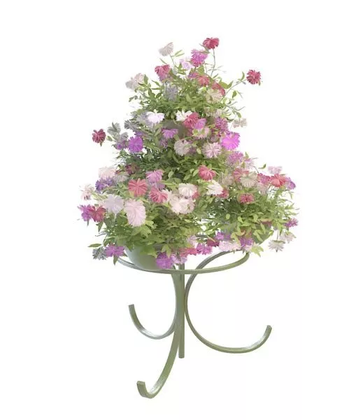 Outdoor Tiered Plant Flower 3d model Outdoor Tiered Plant Flower 3d model