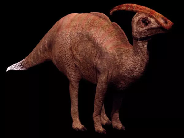Dinosaur Skull 3d model