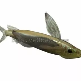 Parexocoetus Brachypterus Animal 3d model
