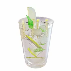 Food Drink With Lemon Slice 3d model