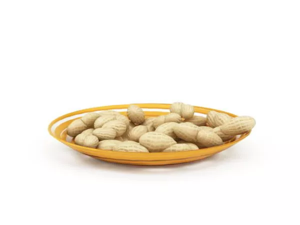 Plate Art Persian Pattern 3d model