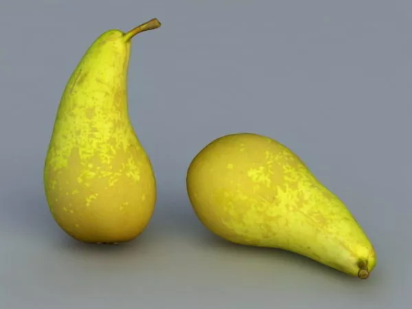 Food Pear Fruit 3d model Food Pear Fruit 3d model