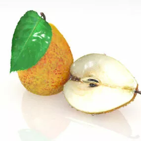 Nature Pear Fruit And Cross Section 3d model