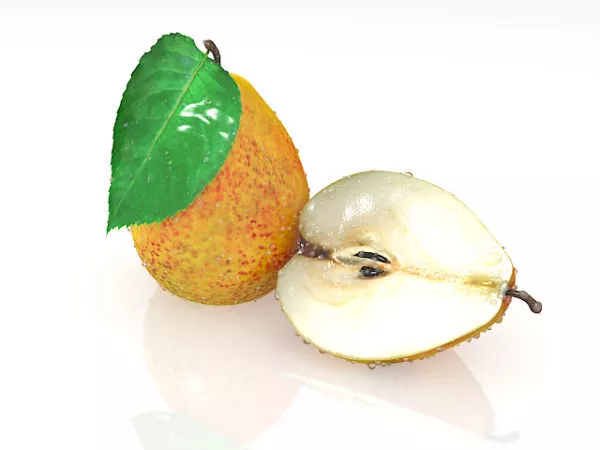 Nature Pear Fruit And Cross Section 3d model Nature Pear Fruit And Cross Section 3d model