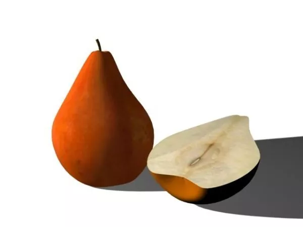 Nature Pear Cross Section 3d model Nature Pear Cross Section 3d model