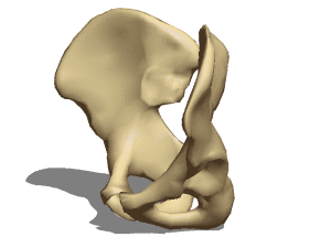 Grabbing Hand Sculpt 3d model